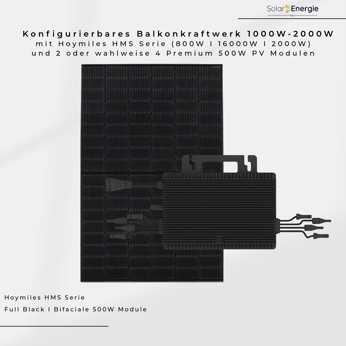Balkonkraftwerk Set konfigurieren | Hoymiles HMS Serie  & 500W Modulen